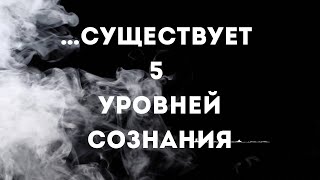 … существует пять уровней сознания