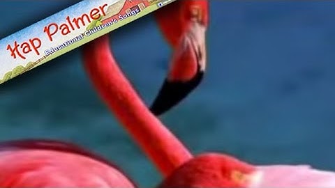 Amazing - by Hap Palmer - Baby Songs