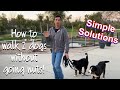 How to successfully walk more than one dog