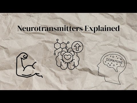 Neurotransmitters Explained