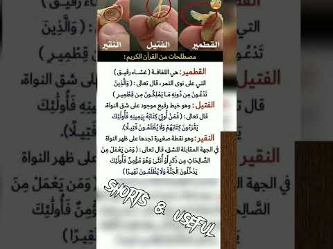 تعرف على القطمير والنقير والفتيل مكونات التمر