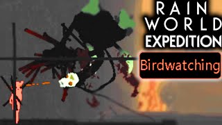 Rain World - Expedition - Birdwatching Mission