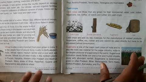 4th  class,Subject sst Topic 7.Our crops (video 8)10/12/2020