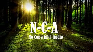 Amelia   Amine Maxwell [ No Copyright Audio ]🥰 ♪