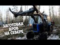 Заготовка дров в тайге на зиму / СУББОТНИКИ как в Советские времена