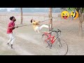 Top new Non stop funny comedy video 2020 must watch new funny comedy video 2020 Bindas comedy