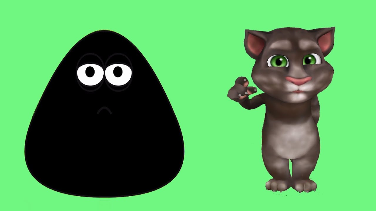 Pou y el Gato Tom El gato Tom y sus amigos. YouTube