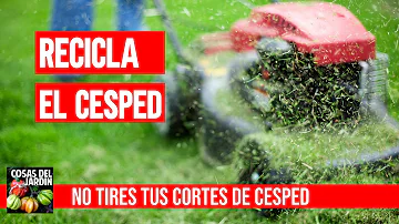 ¿Hay que embolsar los recortes de césped?