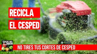 4 Usos Increibles De Los Cortes De Cesped. Mucho Mas Que Un Abono Pedorro