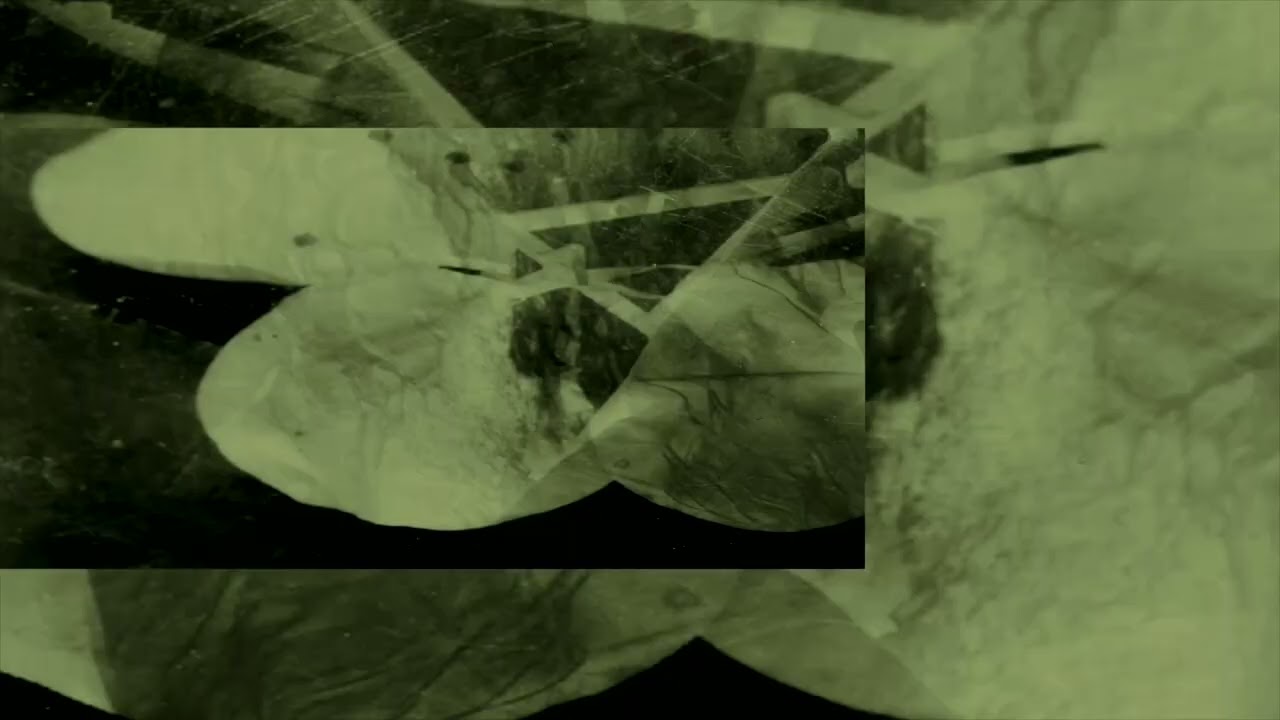 Obejrzyj Hollen - Warm Shuffle - Children Of Tomorrow w YouTube Obejrzyj Hollen - Warm Shuffle - Children Of Tomorrow w YouTube
