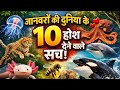 Mind Blowing Animals Facts 🤯🥶 |Crazy Animals Facts | Amazing Animals Facts | Mysterious Facts| 