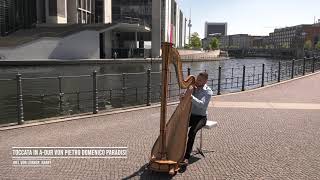 Domenico Paradisi, Toccata - Joel Von Lerber