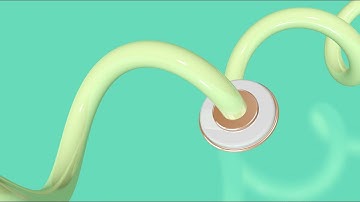 Study of Spiral Follow | Cinema 4D