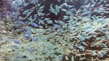 روائع القراء المغاربة. سورة البروج. القارئ الياس حجري