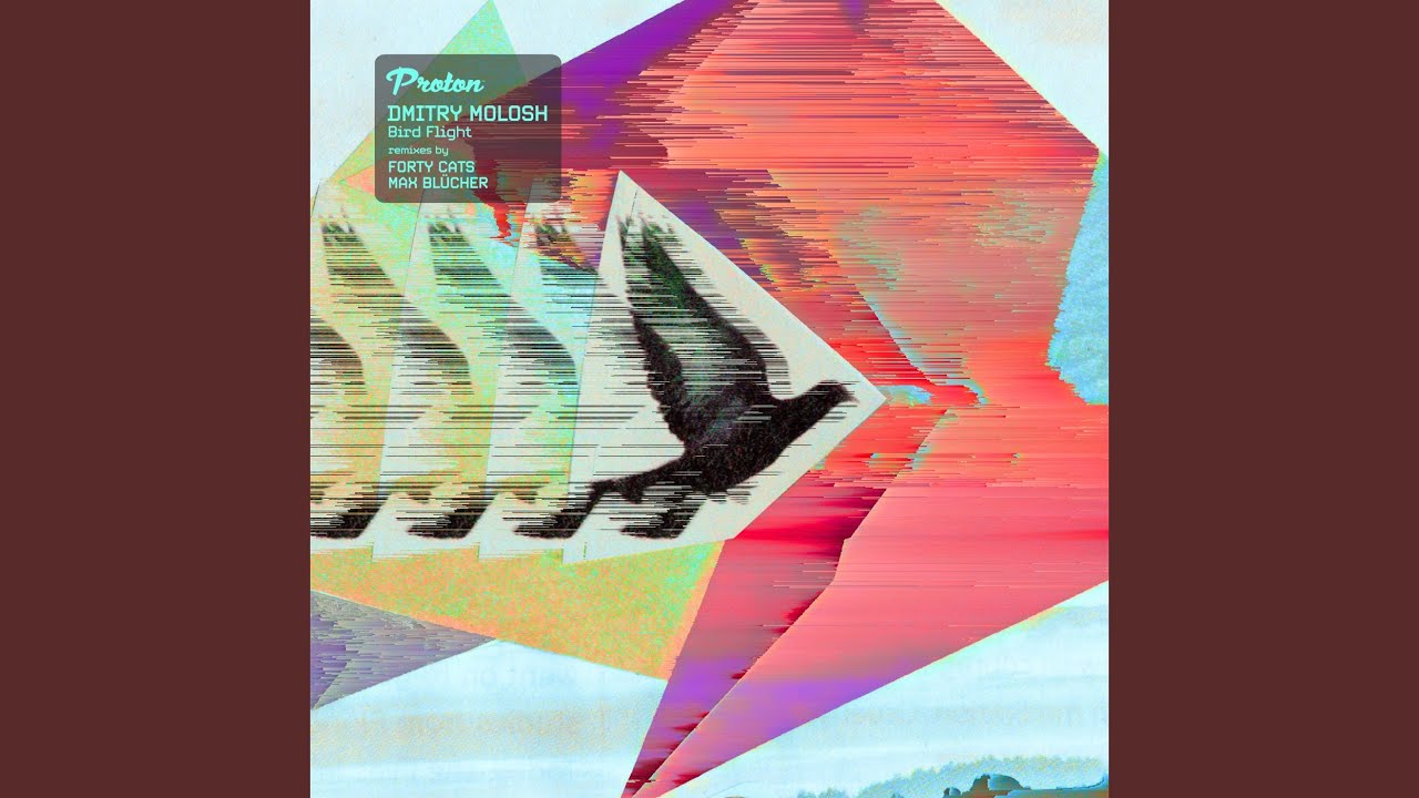 Bird Flight (Forty Cats Remix)