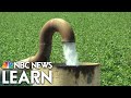 The Impact of Drought on Natural Resources and Our Environment