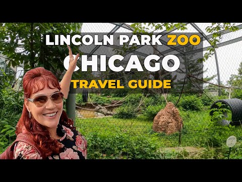 Video: A Visitor's Guide to Lincoln Park Zoo