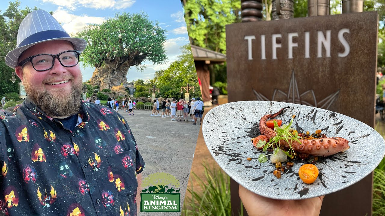 Disney's Animal Kingdom August 2022 | Tiffins Restaurant Signature Dining &  NSYNC In Disney World - YouTube