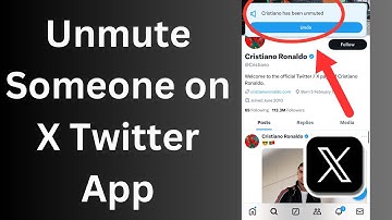 How to unmute Someone on X Twitter app in 2024 (Updated)