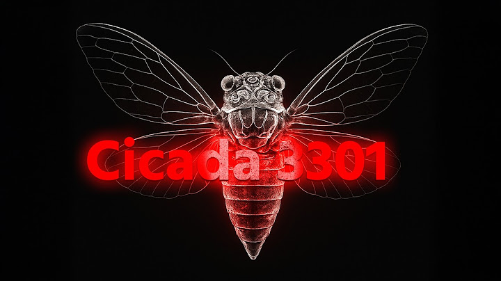 El Misterio Más Grande en la Historia de Internet | Cicada 3301