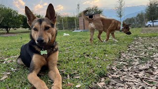 Creo Que Tiene Celos De July