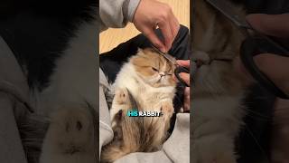 He Turned Pet Fur Into an Incredible Work of Art! 😱