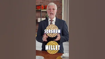 STOP Eating The WRONG Grains Yes No List 