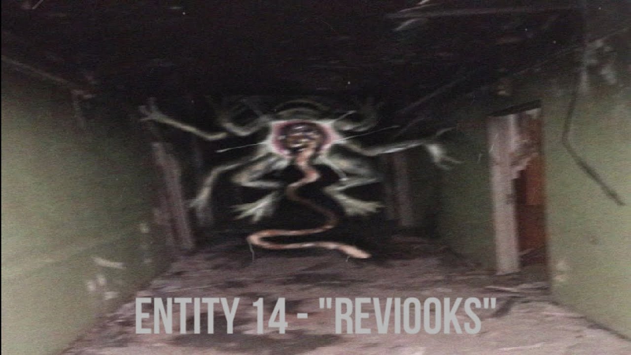 Entity 14 - Reviooks - The Backrooms