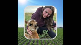Melyse Renwick Sustainability Specialist