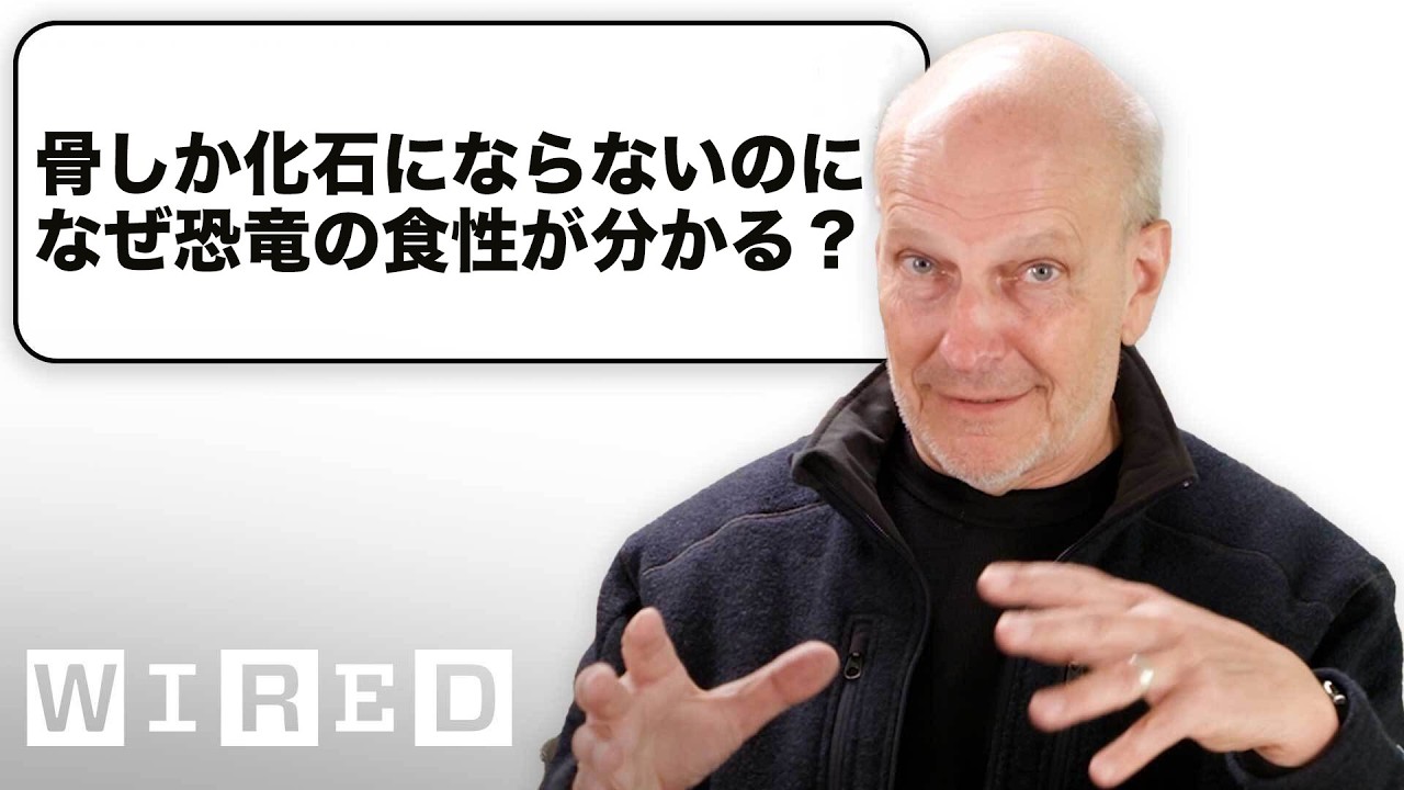 Я палеонтолог, но есть ли у вас вопросы об окаменелостях? | Техническая поддержка | WIRED Japan