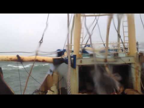 Video: Wat is die volhoubare opbrengs van 'n vissery?