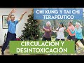 Super clase chi kung  tai chi teraputico  circulacin y equilibrio  