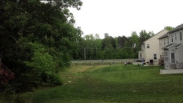 Blade nano CPX Inverted Hover