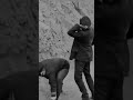 Prison Break: Escaping Cliffs and Chasing Freedom! #shorts