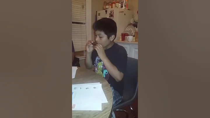 Playing the harmonica and the recorder(1)
