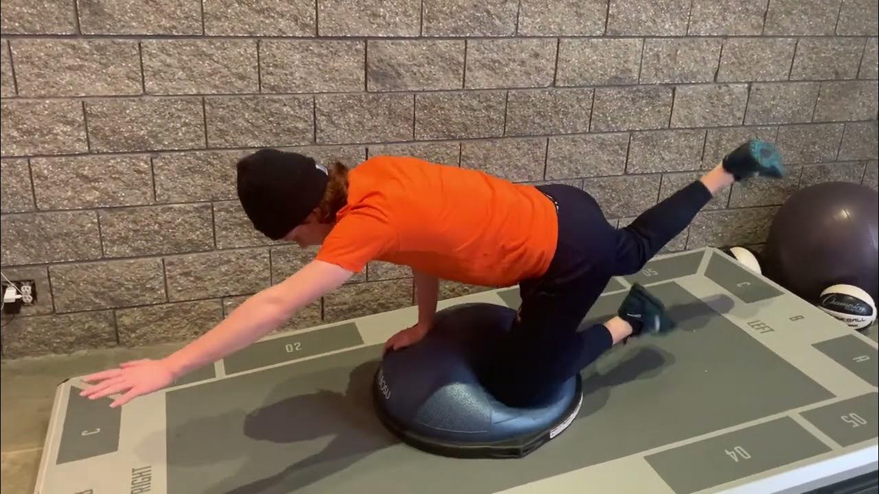 Bird Dog Bosu YouTube