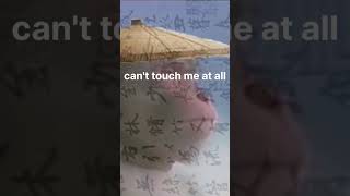 Chinese Monkey Rap With Subles