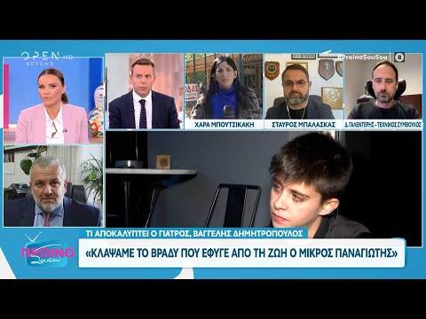 Αμαλιάδα: Τι αποκαλύπτει