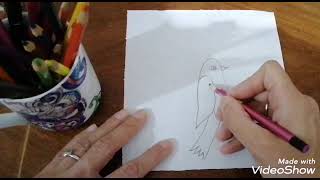 رسم عصفور بالخطوات?️?? Drawing a bird