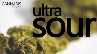 ultra sour - SQDC CANNABIS