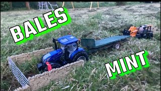 BALES (stopmotion) 👍🤌