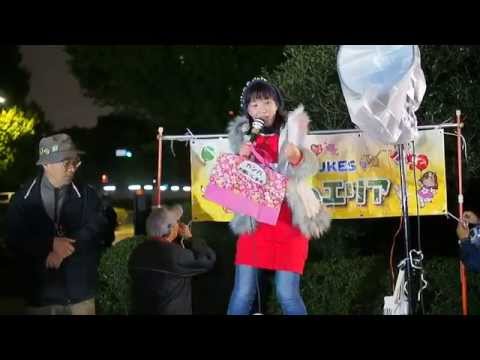 2015.11.13 国会前〈希望のエリア〉抗議行動：閉会のコール【9/9】