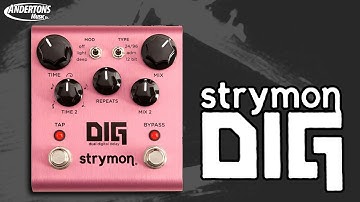 Strymon DIG 80s Inspired Delay Pedal