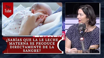 ¿Se transforma la sangre en leche materna?