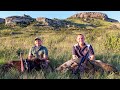 Hunting bushpig in the drakensberg adrenalinepacked walkstalk ii schnitzels nuggets  cracklings