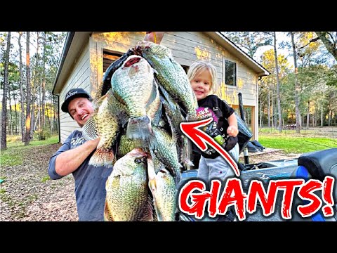 GIANT Winter Crappie