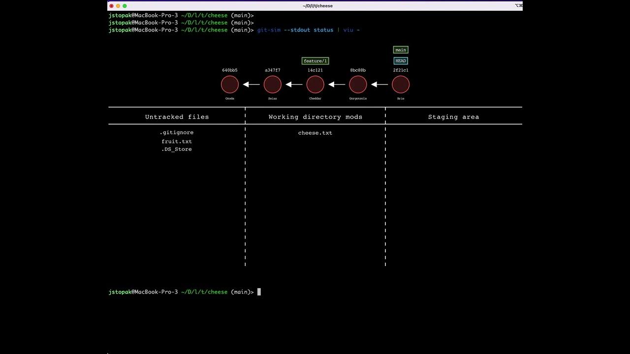 Visualize Git Commands Directly in Your Mac Terminal with Git-Sim and ...
