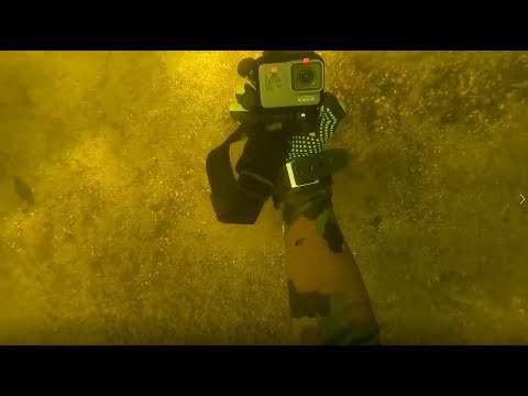 Видео: Помог найти GoPro под водой, подводный поиск потерянных вещей