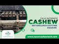 Fully Automatic Cashew Nut Shelling &amp; Cutting Machine | Cashew Processing Line