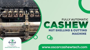 Fully Automatic Cashew Nut Shelling & Cutting Machine | Cashew Processing Line